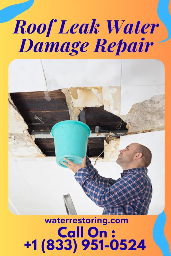 Roof Leak Water Damage Repair in Folly Beach, SC