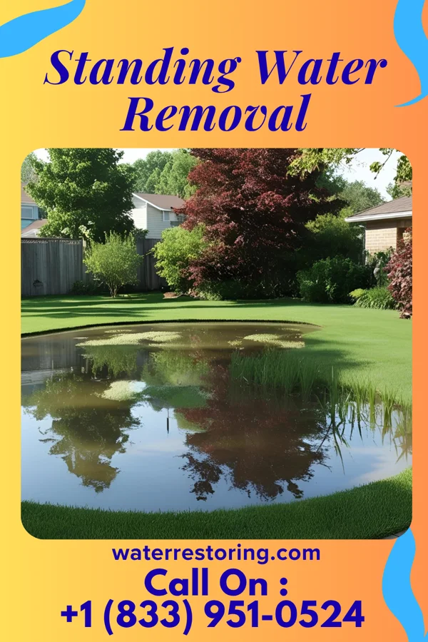 Standing Water Removal in Folly Beach, SC